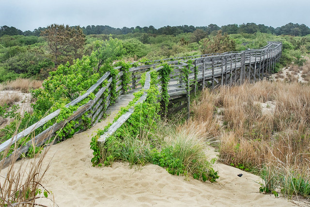 Bill looking to grant free access to state parks fails in committee, other bills remain active